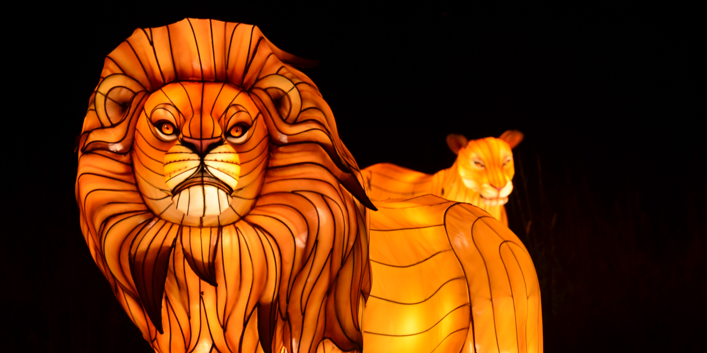 A lantern shaped like a male lion.