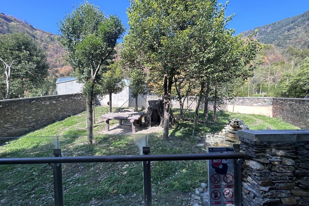 Giant panda Tai Shan's habitat.