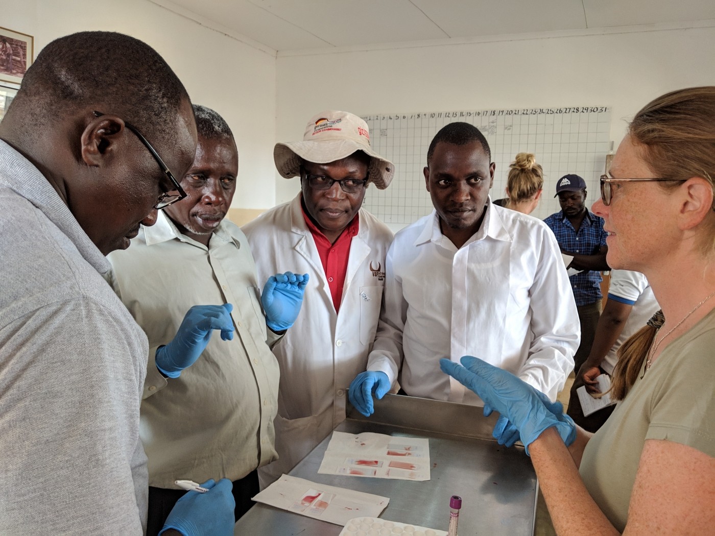 A group of veterinary practitioners gathers around a table. Diagnostic sheets and a small vial of blood are on the table. 