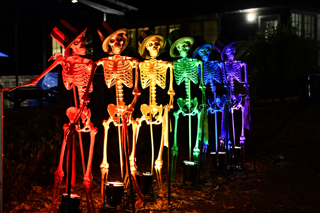 A prop decoration of rainbow-colored skeletons lines up for Boo at the Zoo.