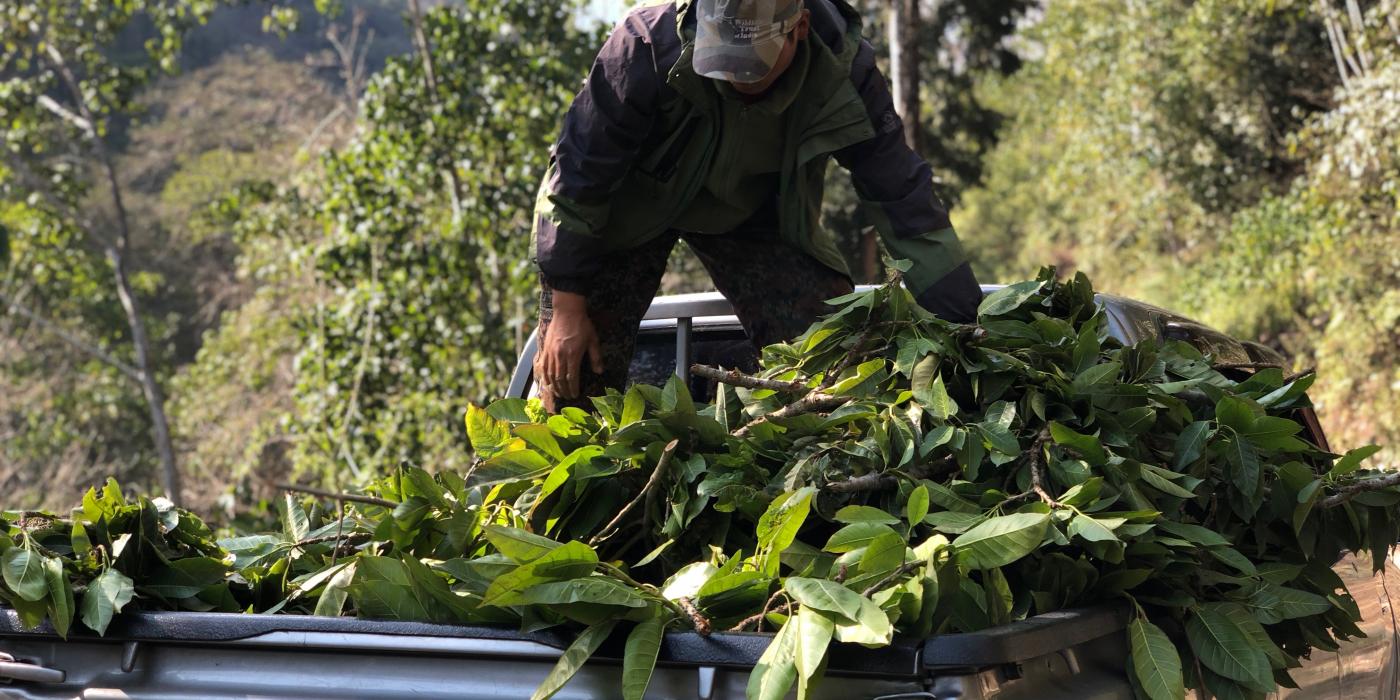 Motithang Takin Preserve staff collect browse to supplement the animals’ winter diets