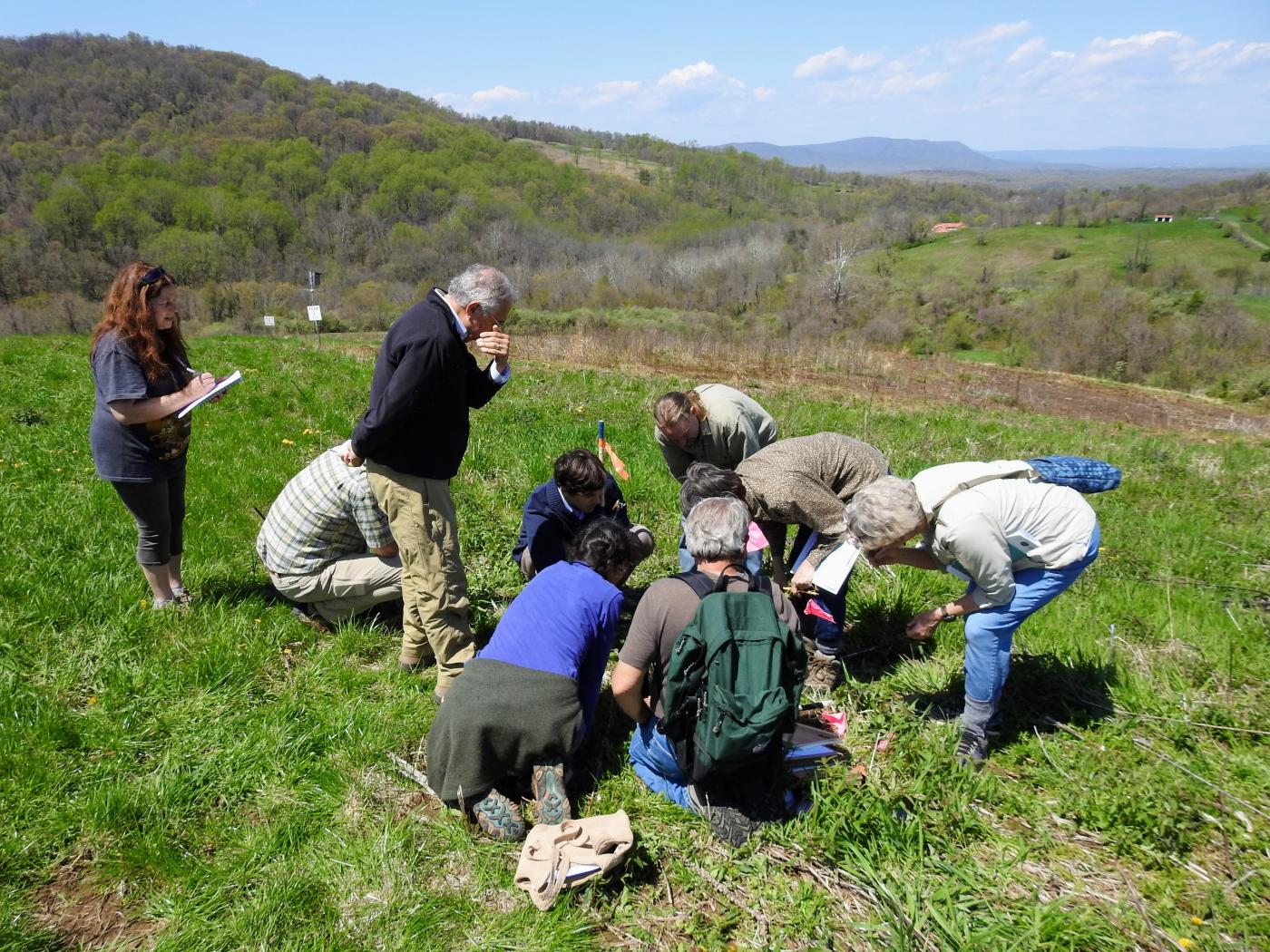 Citizen scientists at work