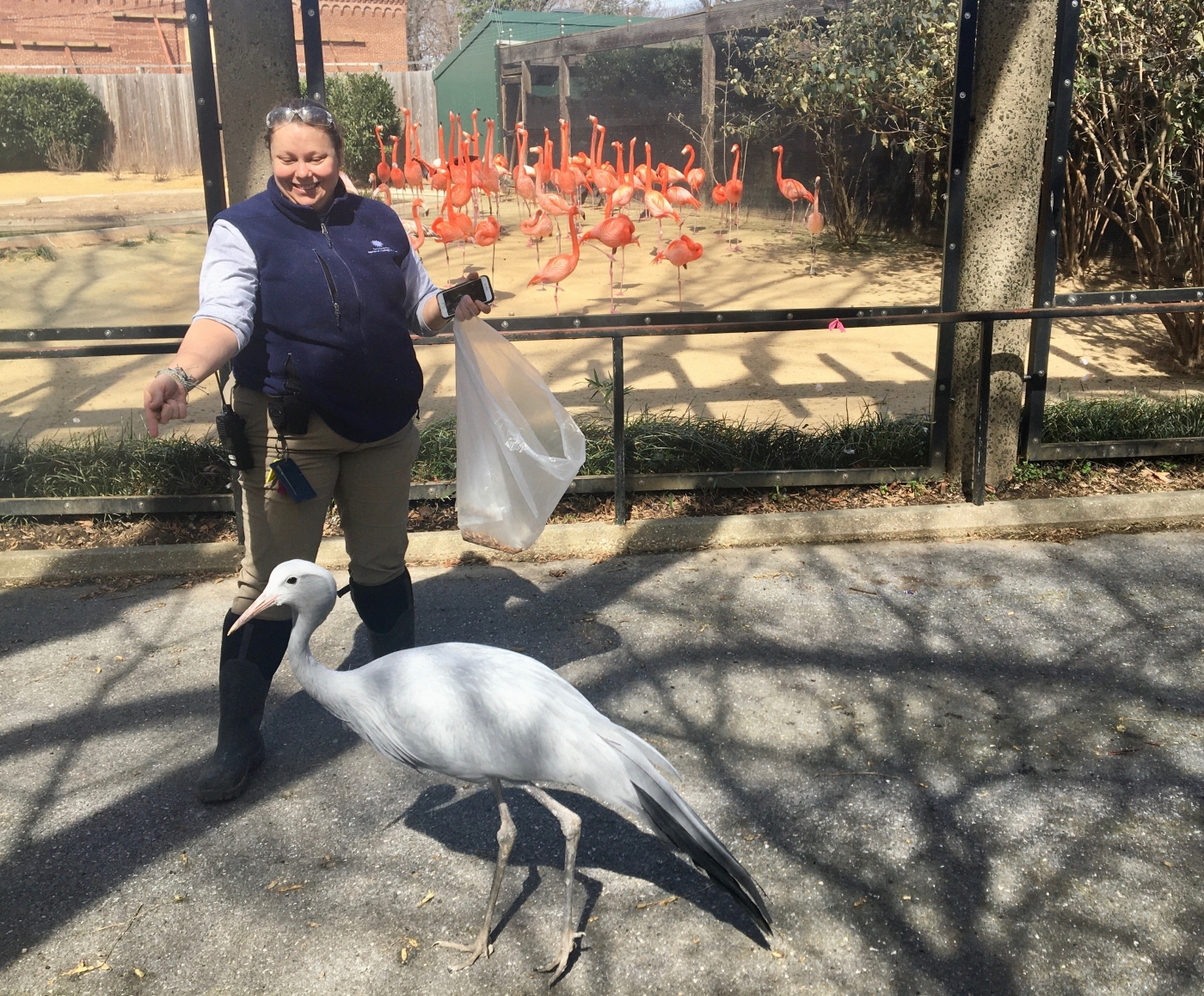 Blue crane Alice and Bird House keeper Jen Ferraro