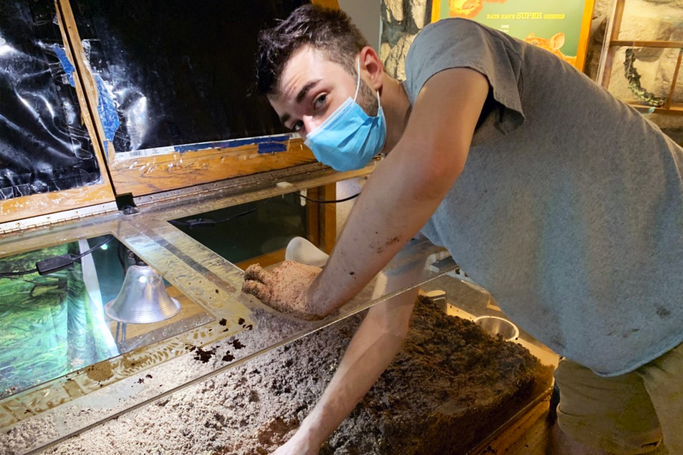 The primate team's summer 2021 intern, Noah Goldfarb, prepares the land hermit crab's habitat.