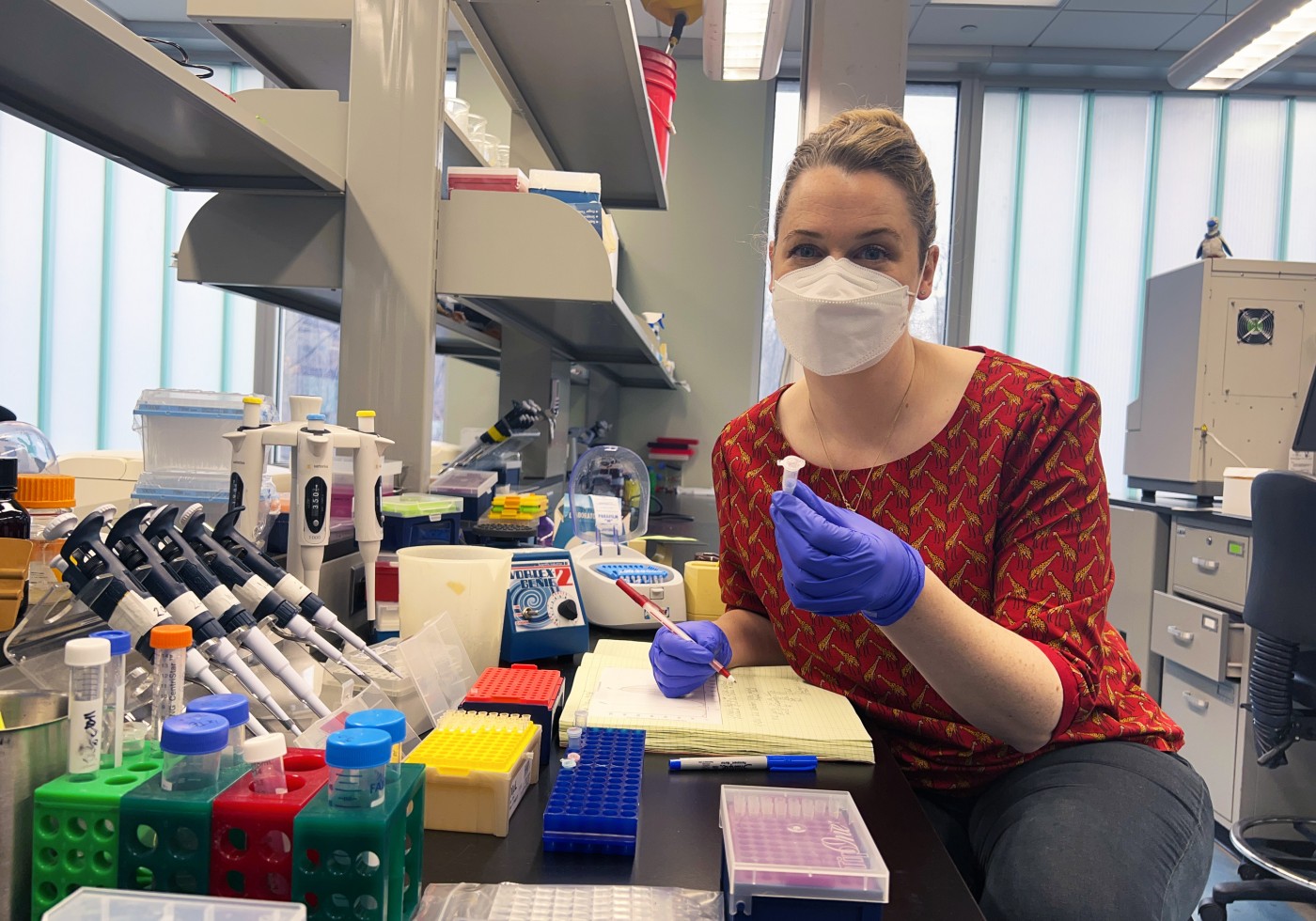 Center for Conservation Genomics Lab Manager Nancy McInerney holds a solution with DNA from one of prehensile-tailed porcupine Fofo's quills.