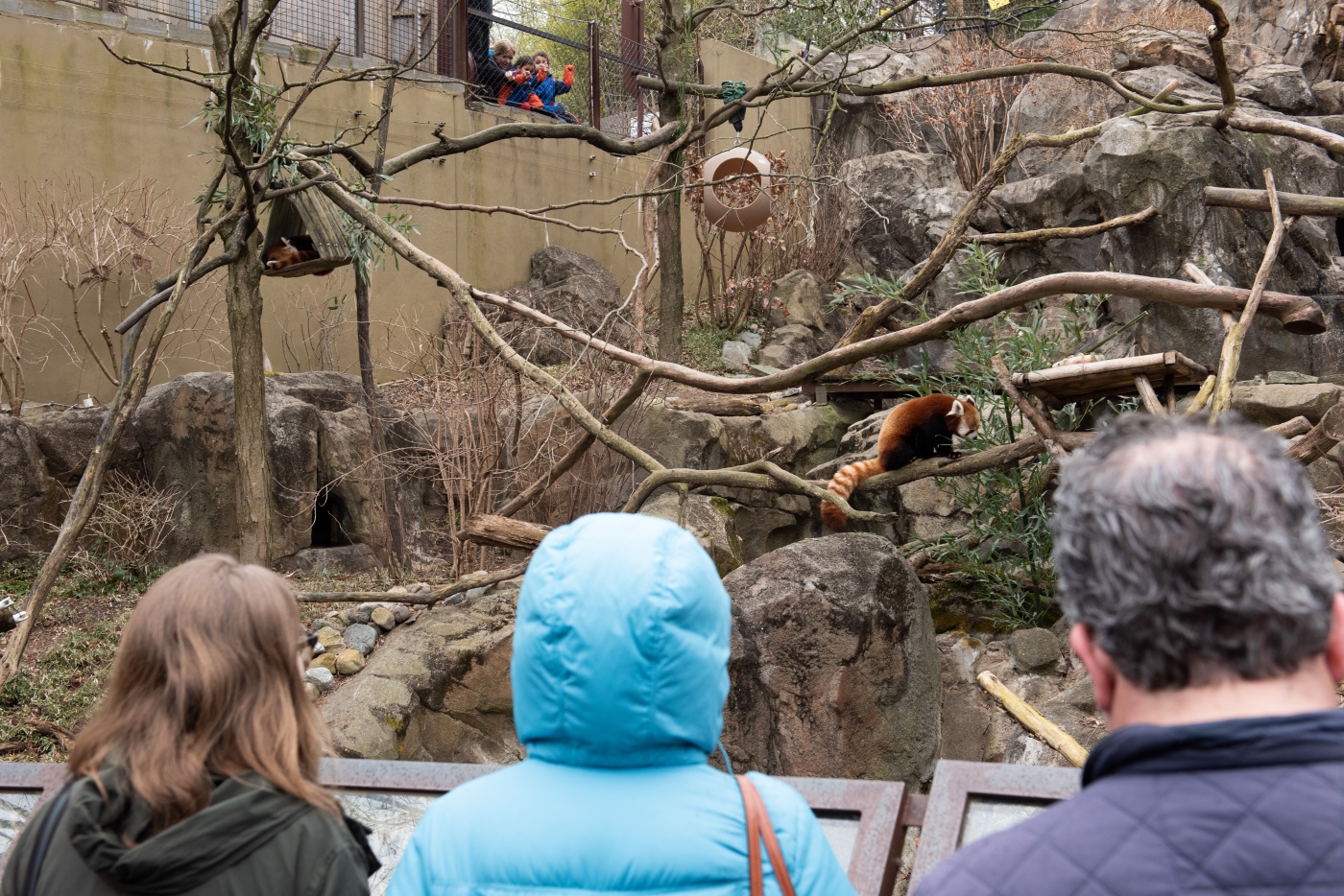 Red Panda Exhibit