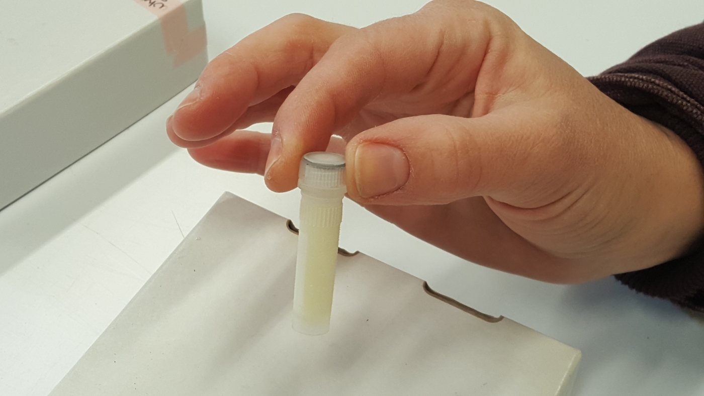 A hand holds a small vial containing cheetah milk