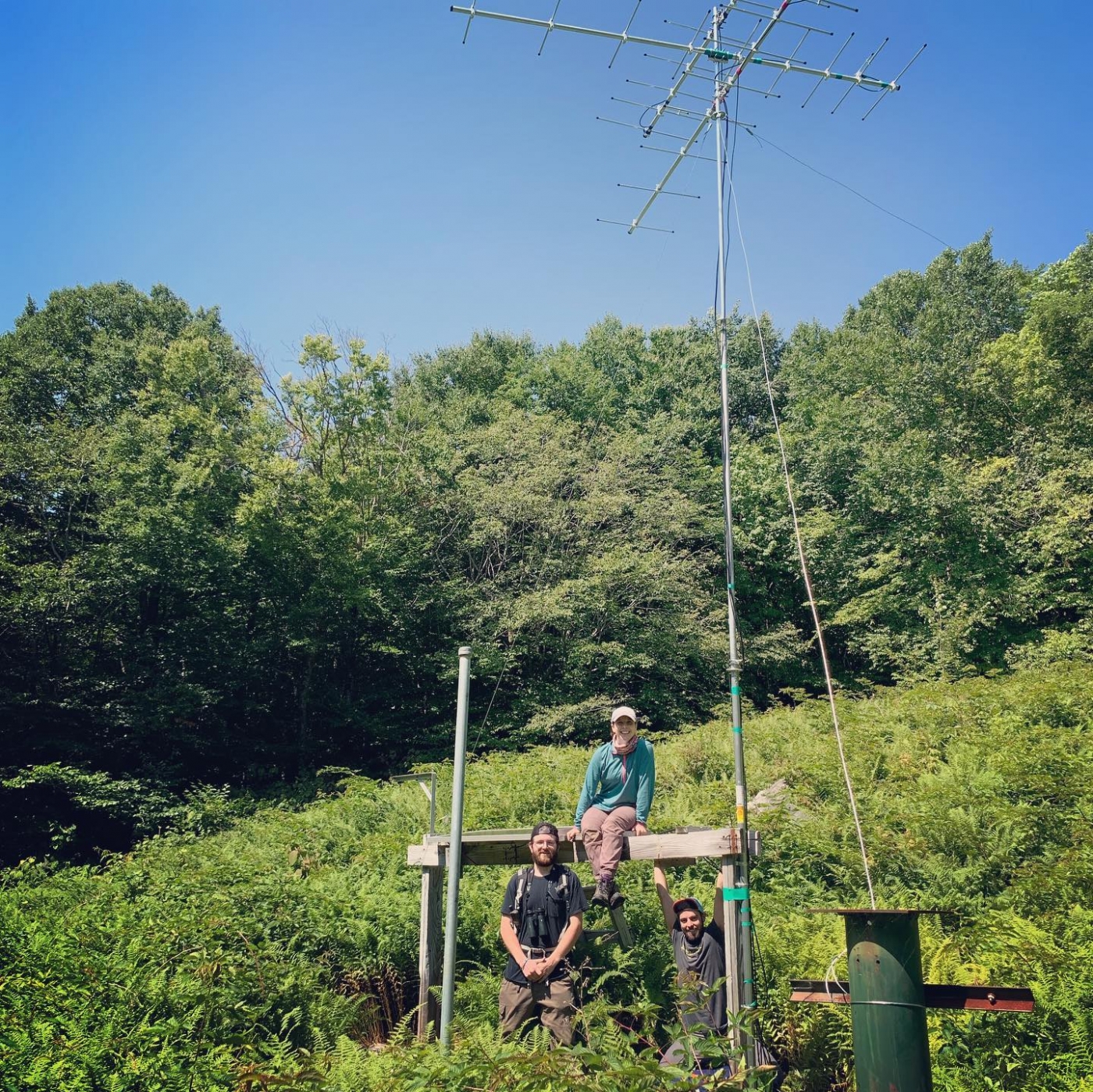 Field researchers sit below a radio tower in Hubbard Brook forest in New Hampshire. The tower will receive radio signals from birds fitted with radio transmitters