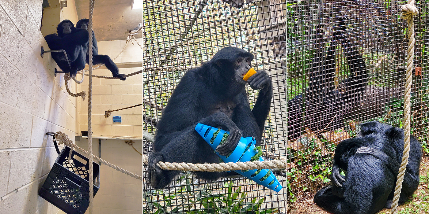 Adi and Guntur enjoy some snacks and spend quality time together at the end of another busy day. 