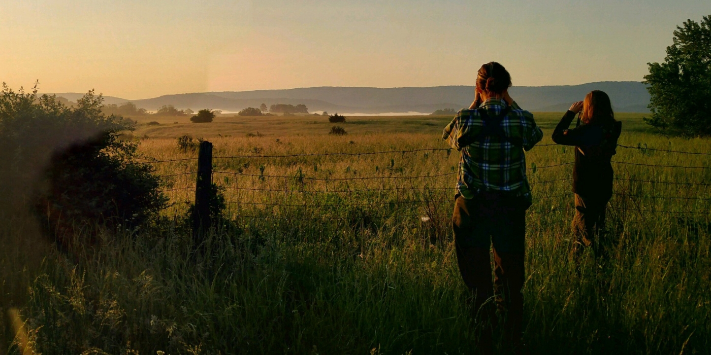 Virginia Working Landscapes scientists conduct a survey for bobwhite quail in Virginia. 