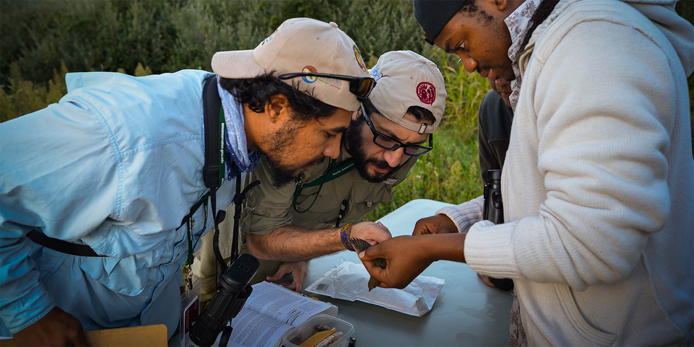 a group of three male students look over a small bird in one of their hands