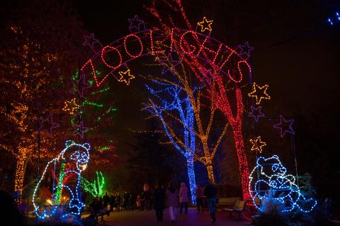 The main entrance to ZooLights at the Smithsonian's National Zoo, featuring trees wrapped in holiday lights, light-up pandas and a lit sign that says "ZooLights"