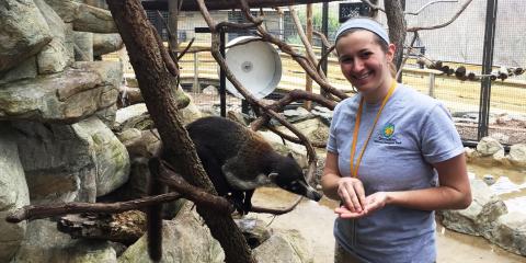 Animal keeper Kara Ingraham with a white-nosed coati at the Small Mammal House.