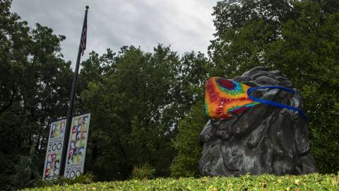 The Smithsonian's National Zoo reopened on July 24. 