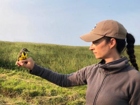 Virginia Working Landscapes program director Amy Johnson holds an eastern meadowlark. 