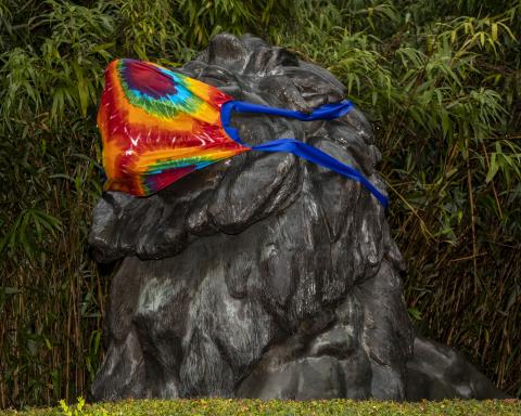 Lion statue wearing face mask. 