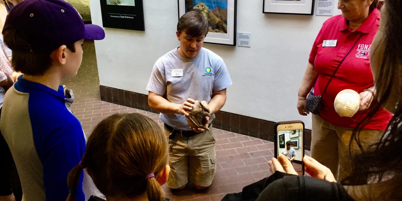 Meet a keeper and an armadillo