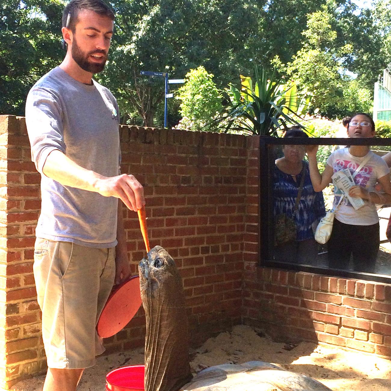 Tortoise Husbandry Training