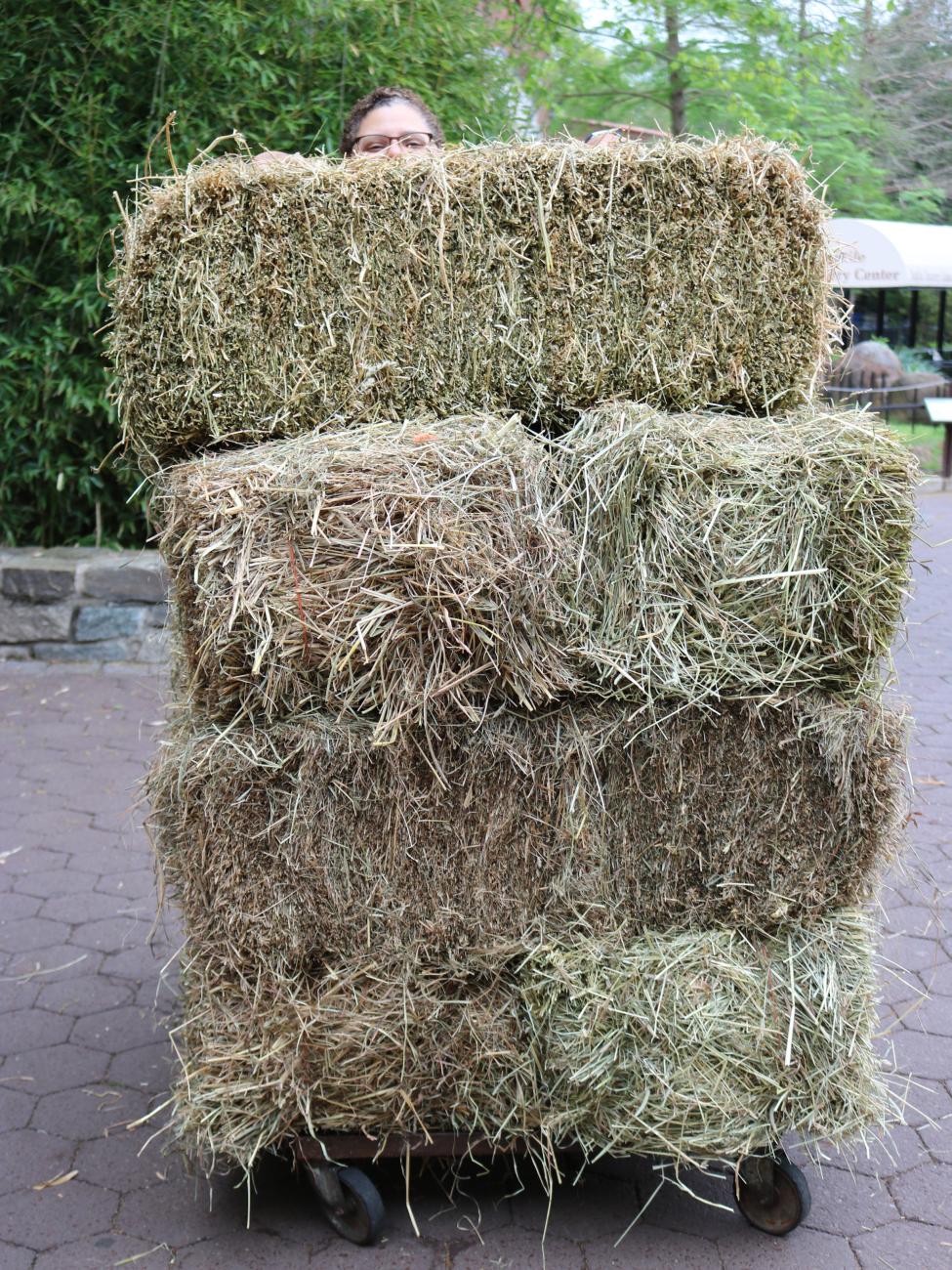 Hay Delivery