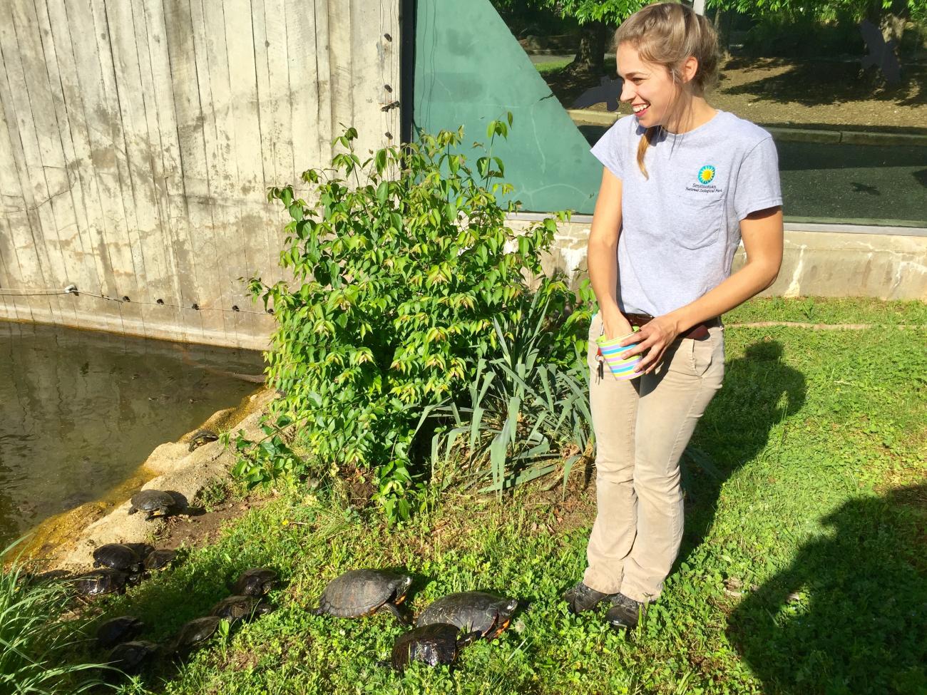 Treats for Turtles