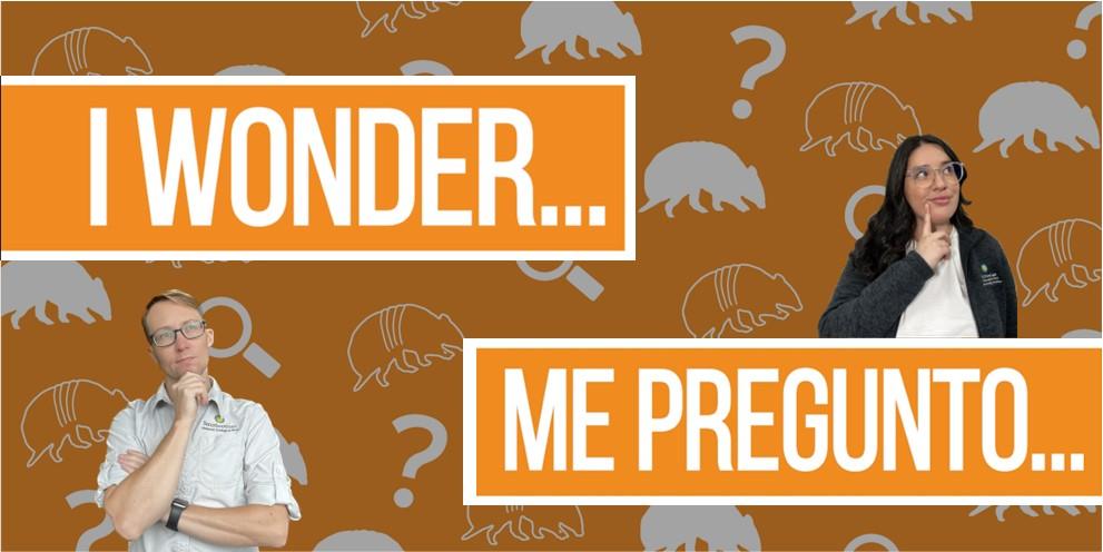 Orange background with the words I Wonder and Me pregunto with pictures of two people thinking