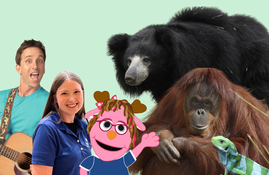 Get a Head Start with the Smithsonian virtual field trip hosts with a sloth bear, orangutan, and iguana