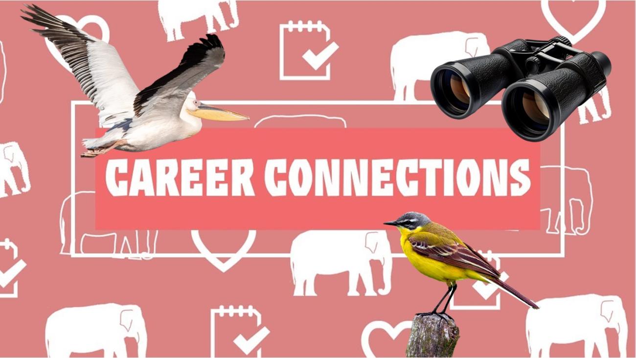 An image of binoculars, a yellow bird perched on a post, and a pelican flying sit on top of a pink background with the words Career Connection. Smaller white icons of elephants and hearts are in the background. 