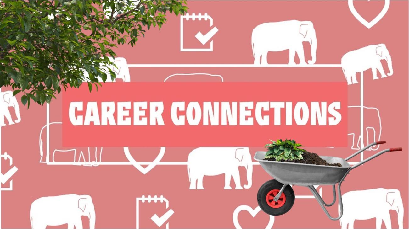 An image of the words Career Connection on a pink background with icons of white elephants and hearts. Leaves from a tree come out of the upper right of the image and in the lower right is a wheel barrow full of dirt and plants. 