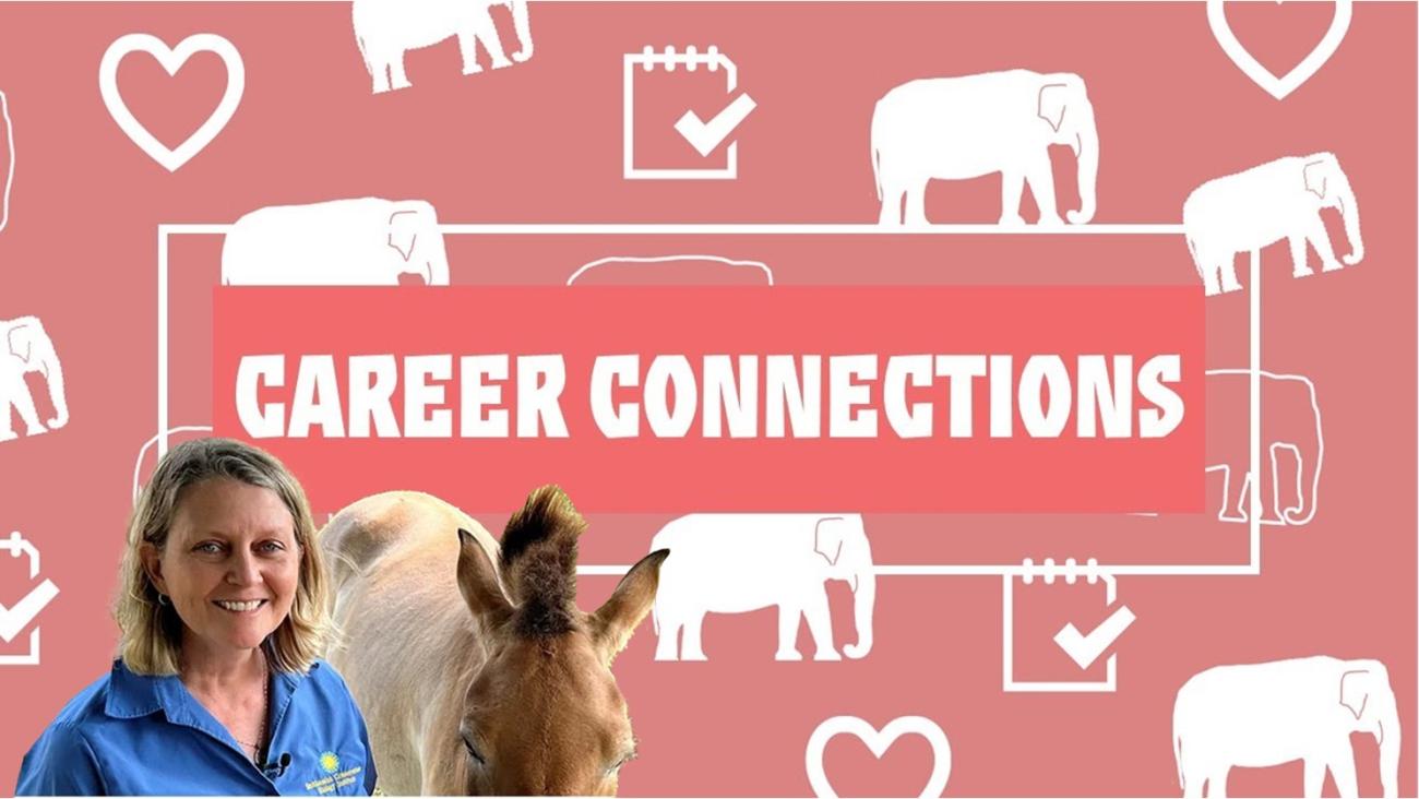 A women in a blue shirts stands next to a horse. The background is pink with the words "Career Connections" and has icons of elephants and hearts. 