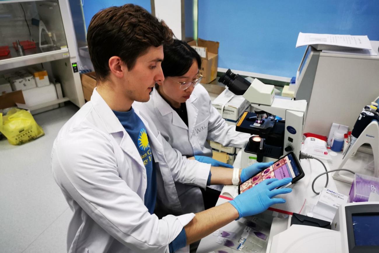 Two scientists sit together at a desk with a microscope and other equipment and review data on a digital tablet