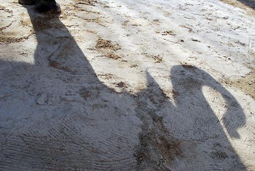 Shadow of elephant