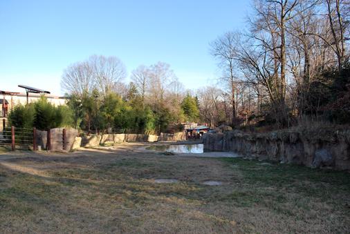 elephant yard with view of pool