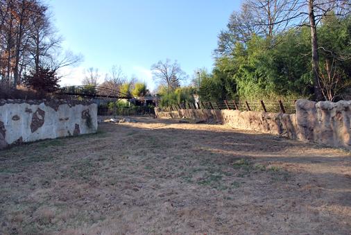 view up to bridge from bottom of elephant yard