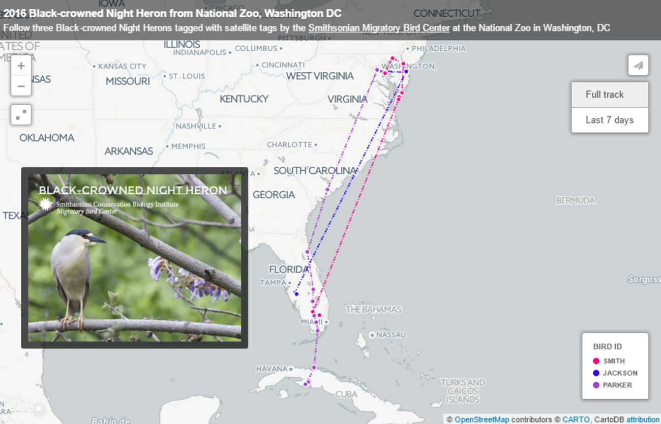 map of eastern United States showing migration tracks from the Zoo to Florida and Cuba