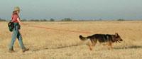 debbie on plains walking dog