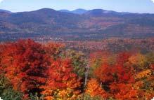 foliage at bear notch 