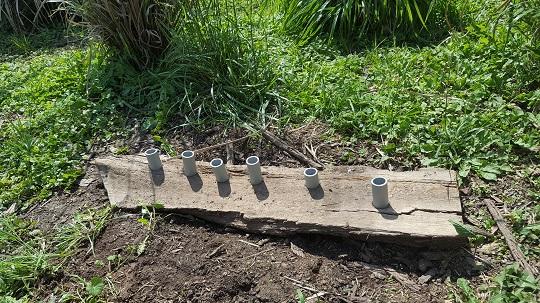 Tube feeder that keepers designed for Ngati Hine Tahi's diet