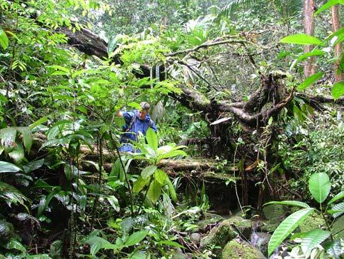 Evans in the forest in Panama