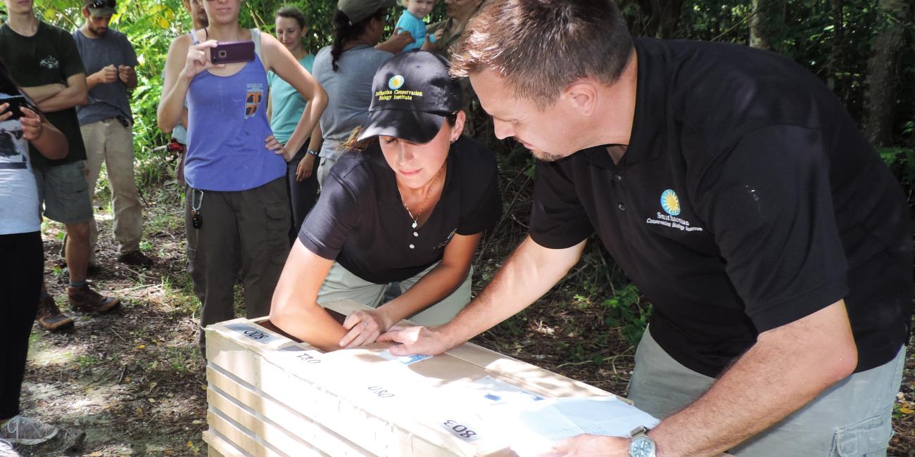 SCBI staff release Guam rails on Rota