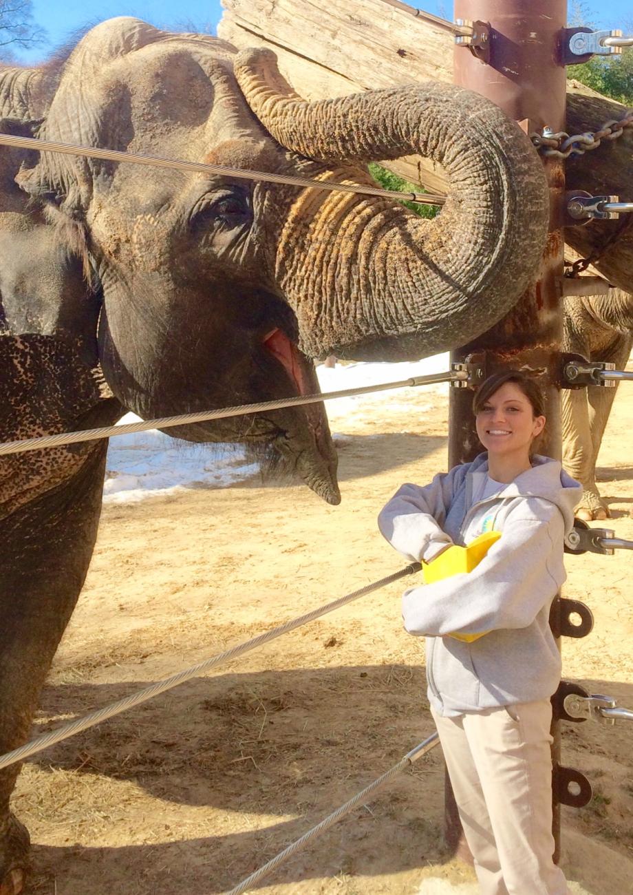 Kamala with keeper Amanda Bobyack