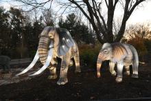 An Asian elephant lantern display at the 2023 Zoo Lights event at the Smithsonian's National Zoo. 