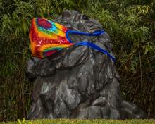 Lion statue at Zoo's entrance with face covering.