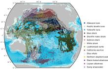 Map of routes of species that migrate through the high-seas of the Pacific Ocean. 