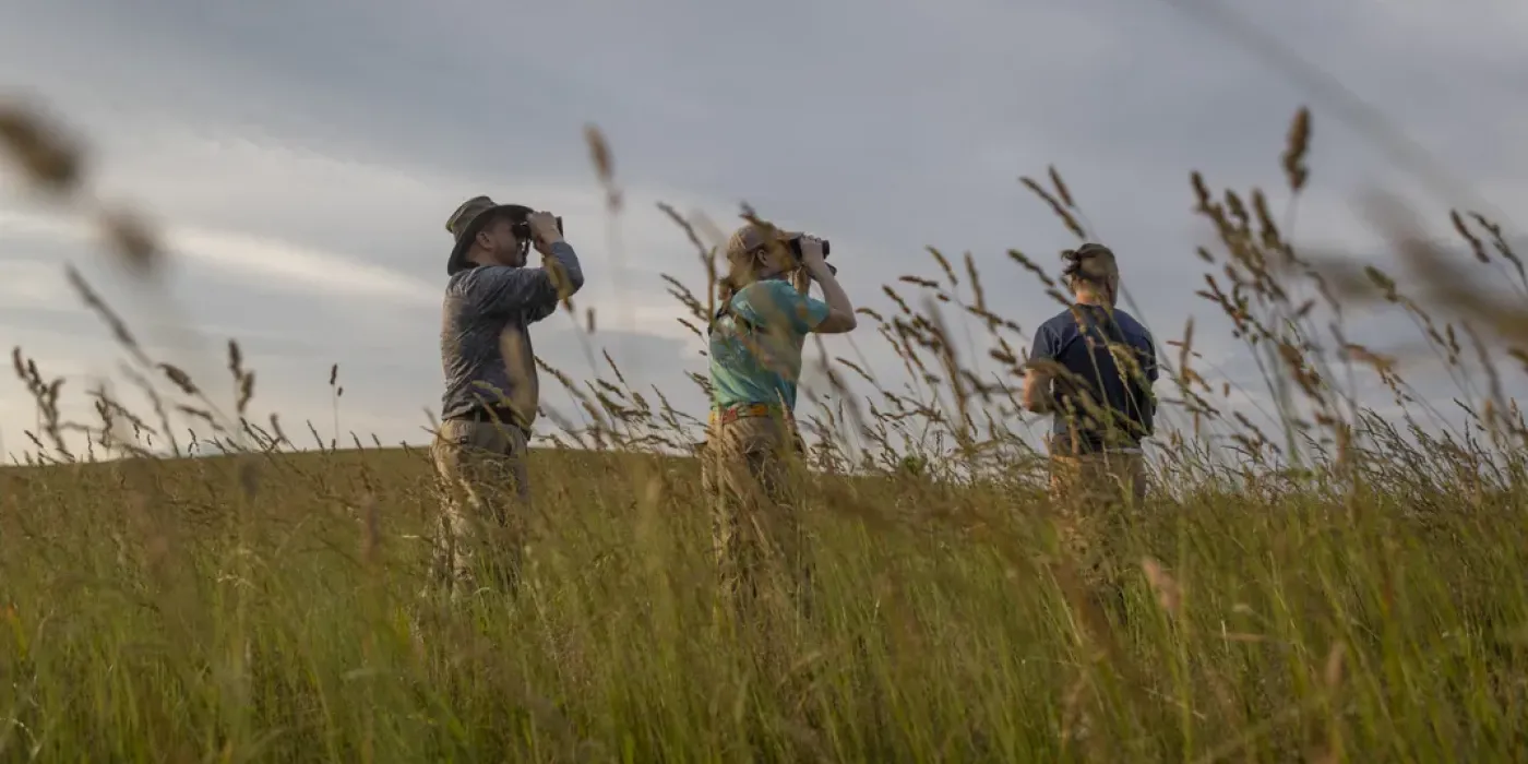 Photo of three field researchers standing in a meadow. Tall grasses partially obscure the people, who are looking through binoculars at something outside the frame.