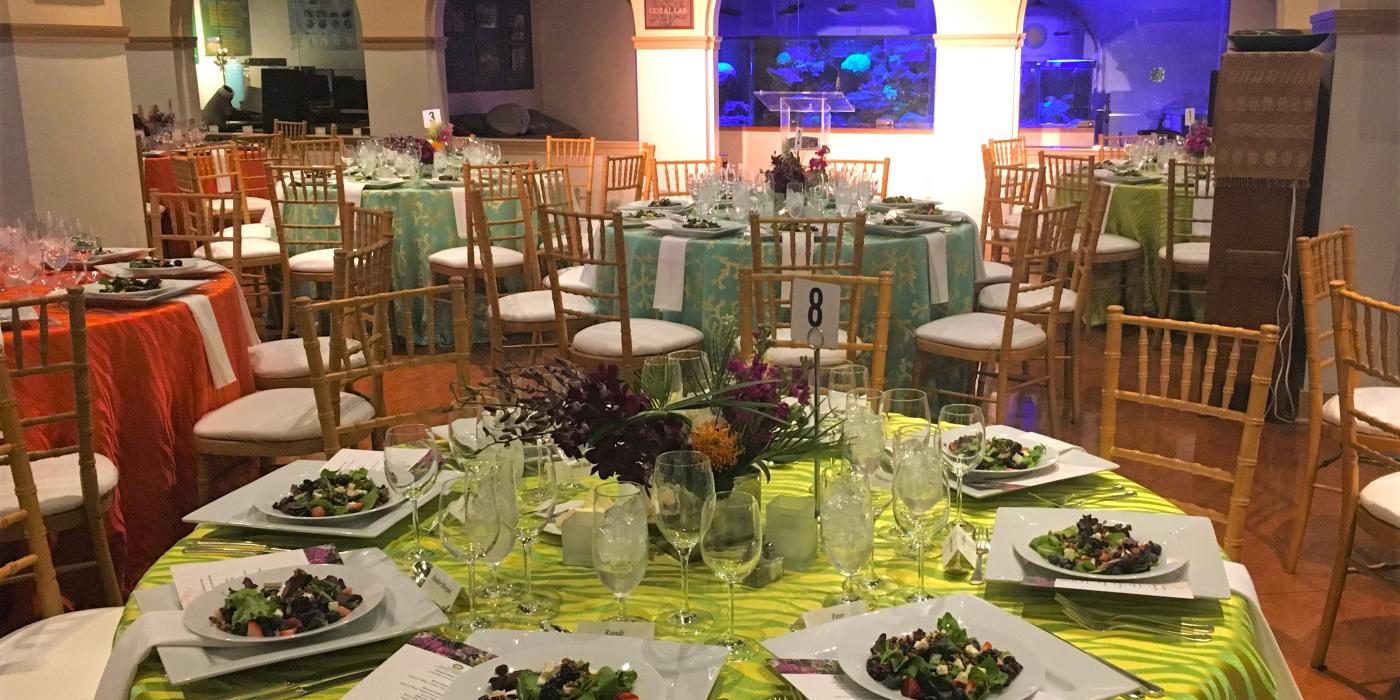 Round tables decorated for a private, catered event in the Amazonia science gallery at the Smithsonian's National Zoo