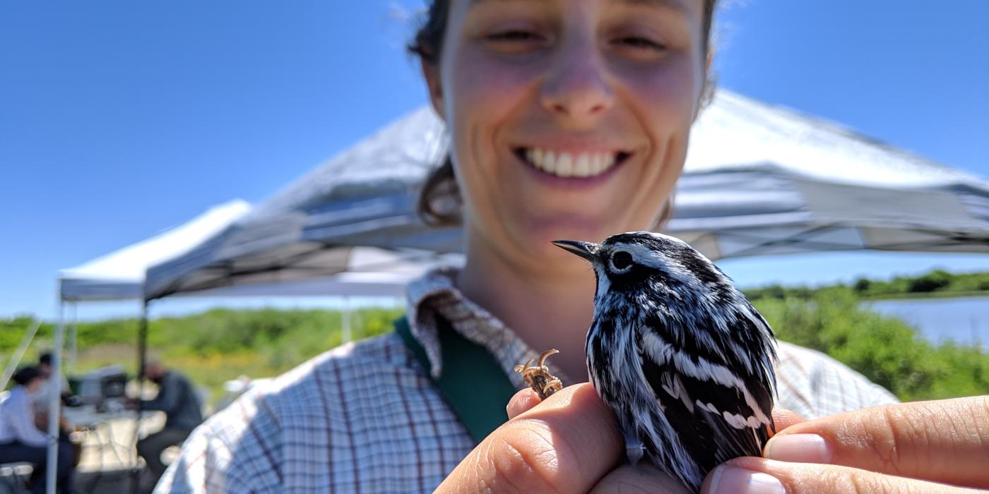 FMBC field researcher Emma Cox holds a small bird, called a black-and-white warbler, in her hand and prepares to release it after banding it. 