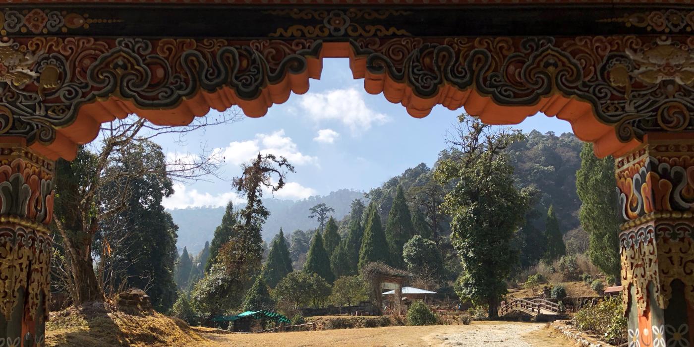 The Motithang Takin Preserve in Thimpu, Bhutan. 