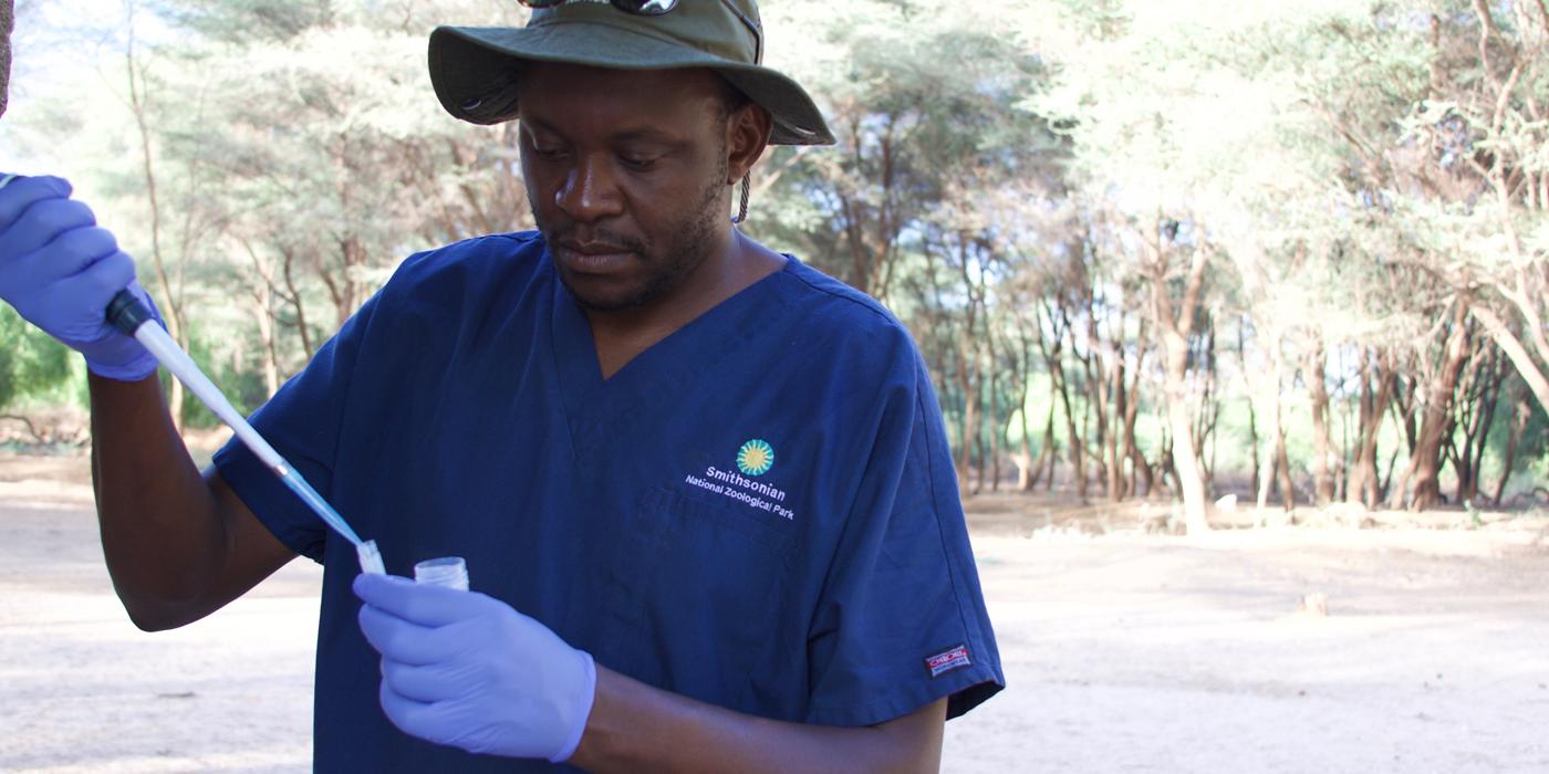 SCBI veterinarian Joseph Kamau