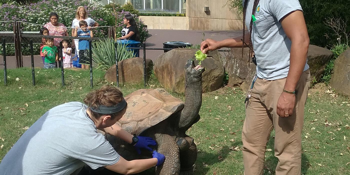 A Day in the Life of a Reptile Discovery Center Keeper