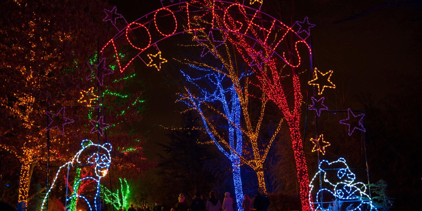 The main entrance to ZooLights at the Smithsonian's National Zoo, featuring trees wrapped in holiday lights, light-up pandas and a lit sign that says "ZooLights"